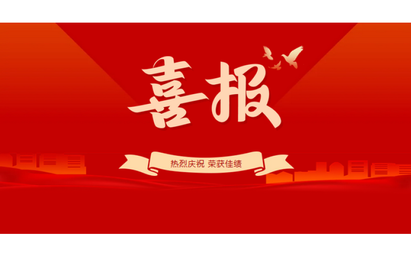 喜讯丨海南咨询集团党委所属党组织获评海南自贸港国企思想政治工作示范点等多项荣誉