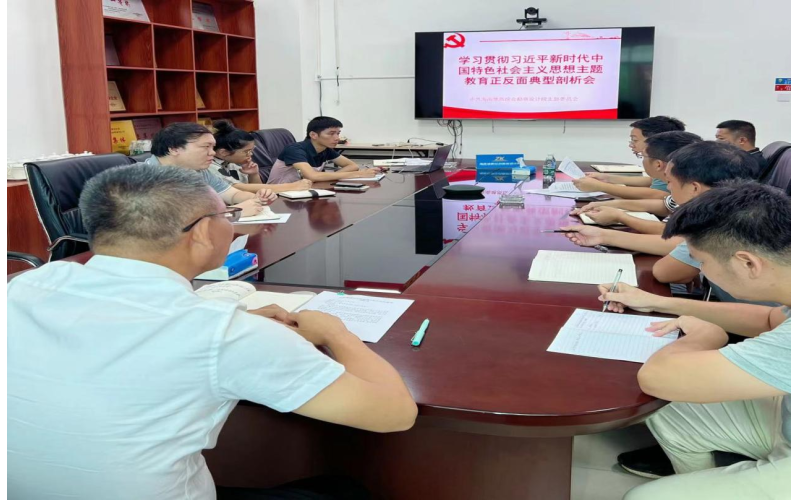 海南地质综合勘察设计院召开主题教育领导小组第三次会议暨典型剖析会