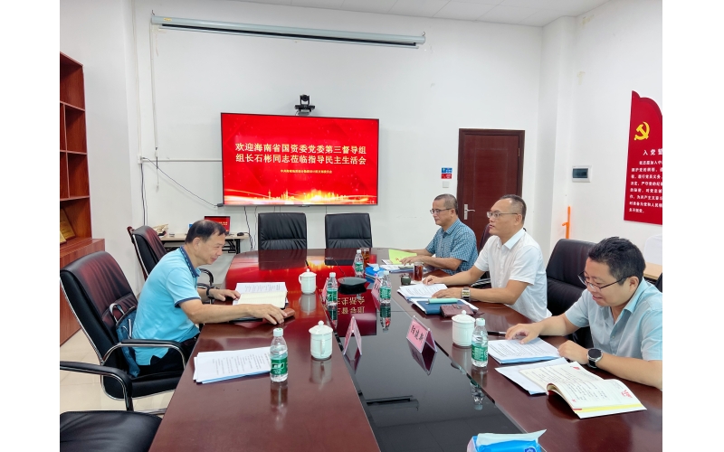 海南地质综合勘察设计院召开学习贯彻习近平新时代中国特色社会主义思想专题民主生活会